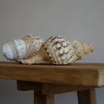 Dimora Ferralasco بيت ضيافة