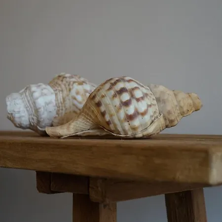 Dimora Ferralasco 게스트하우스